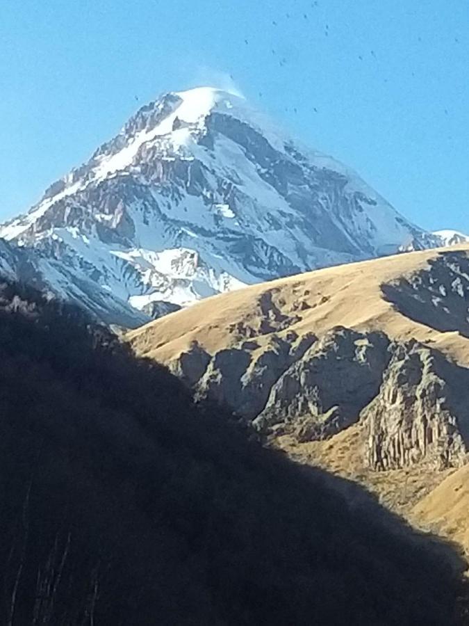Апартаменти Emotion Kazbegi Екстер'єр фото