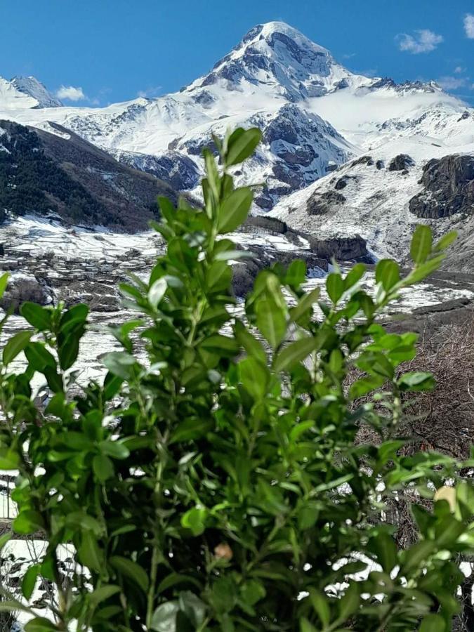 Апартаменти Emotion Kazbegi Екстер'єр фото