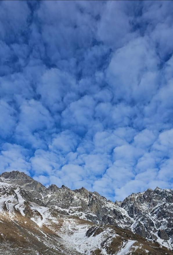 Апартаменти Emotion Kazbegi Номер фото