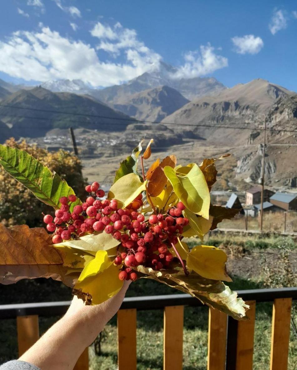 Апартаменти Emotion Kazbegi Номер фото