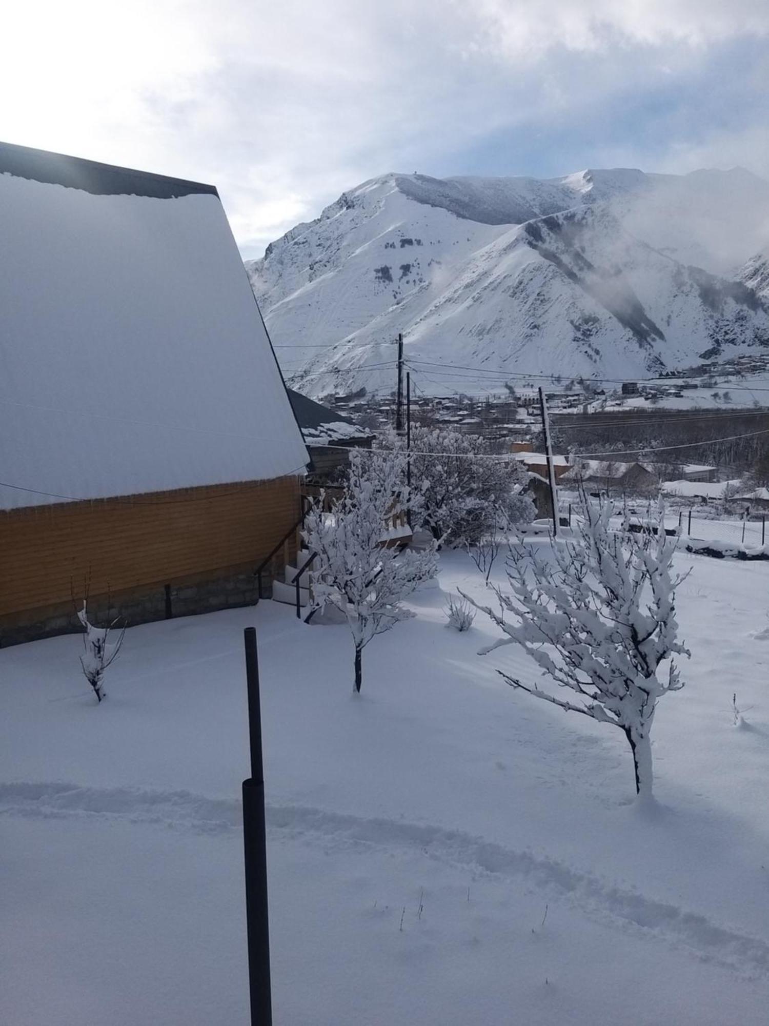 Апартаменти Emotion Kazbegi Номер фото