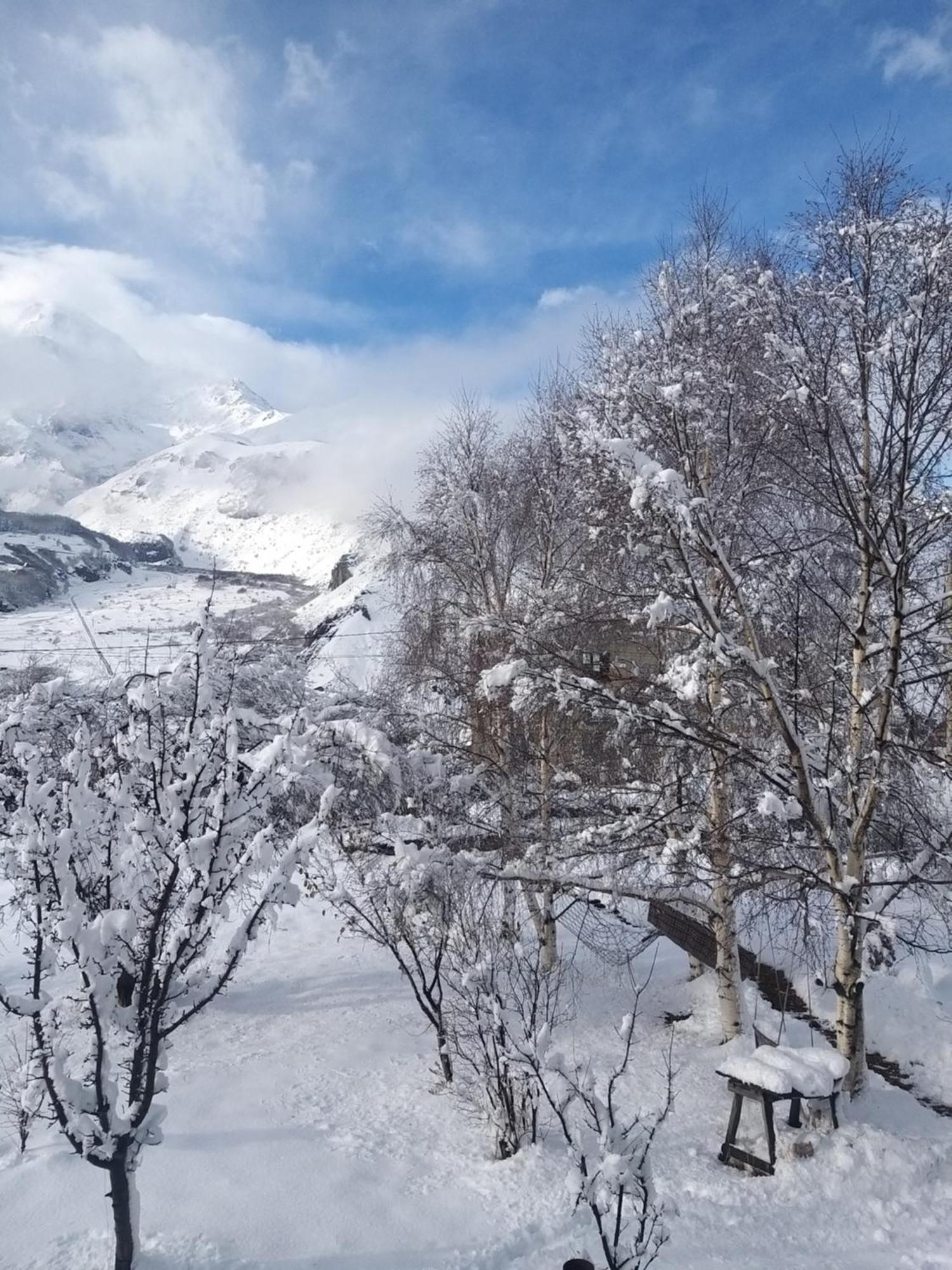 Апартаменти Emotion Kazbegi Номер фото