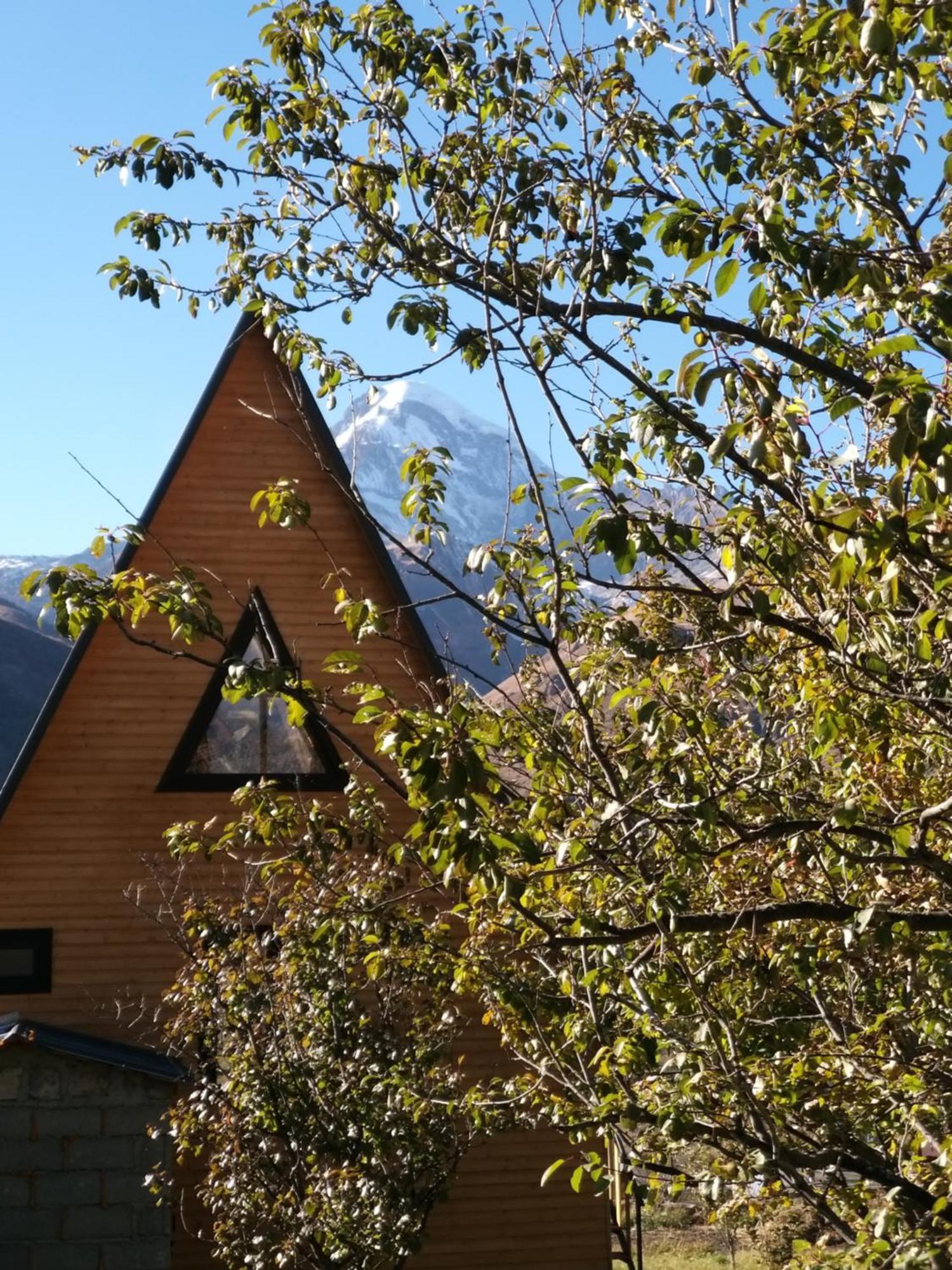 Апартаменти Emotion Kazbegi Номер фото