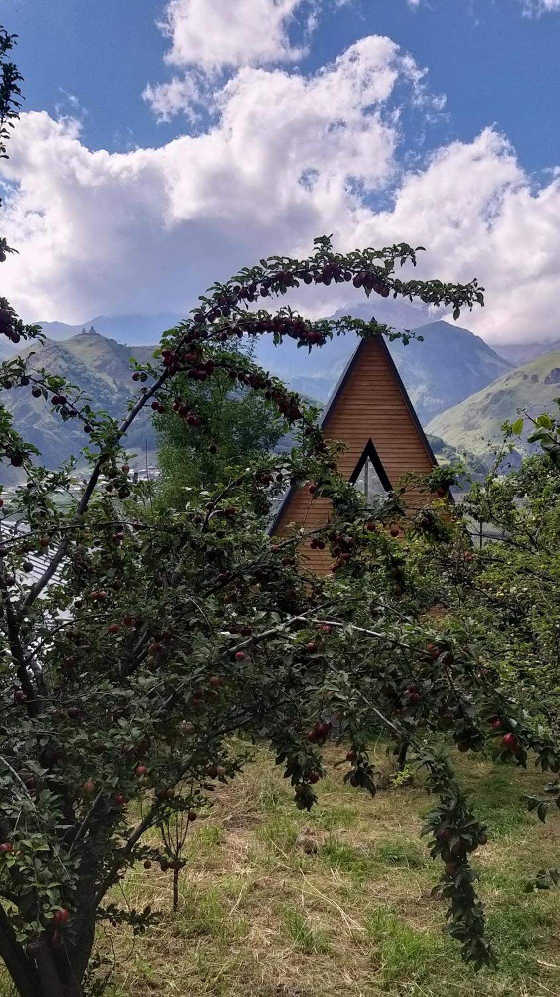Апартаменти Emotion Kazbegi Екстер'єр фото